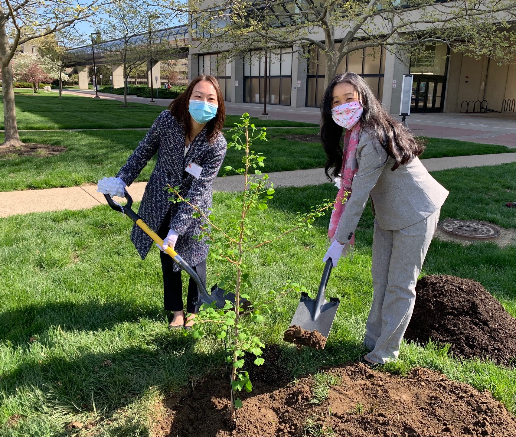 Drs. Izumi Harris and Keiko Kuriyama holding shovels, planting a tree